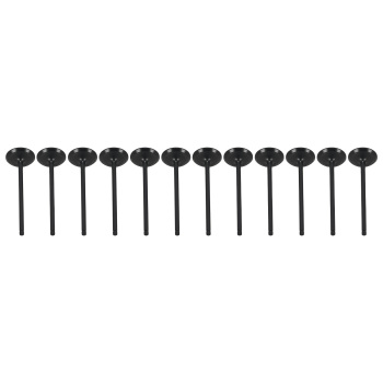 24pcs Intake Exhaust Valves compatible for Honda Accord Crosstour 3.5L V6 2010-2011