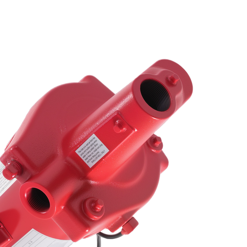 1 HP Cast Iron Jet Pump for Shallow Wells Home 115/230V 602208 RJS-100-PREM