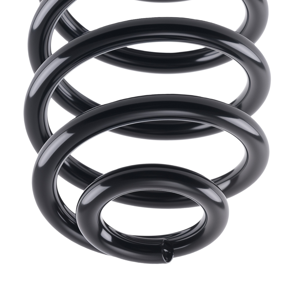 2x Ressort Amortisseur Acier compatible pour Renault Clio II 1998-2016 Arrière 8455287