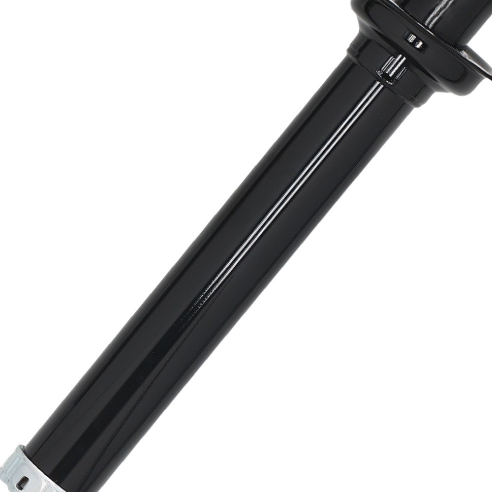 2/4PCS Complete Front Rear Struts Shocks For 2006-2013 compatible for LEXUS IS250 IS350 RWD