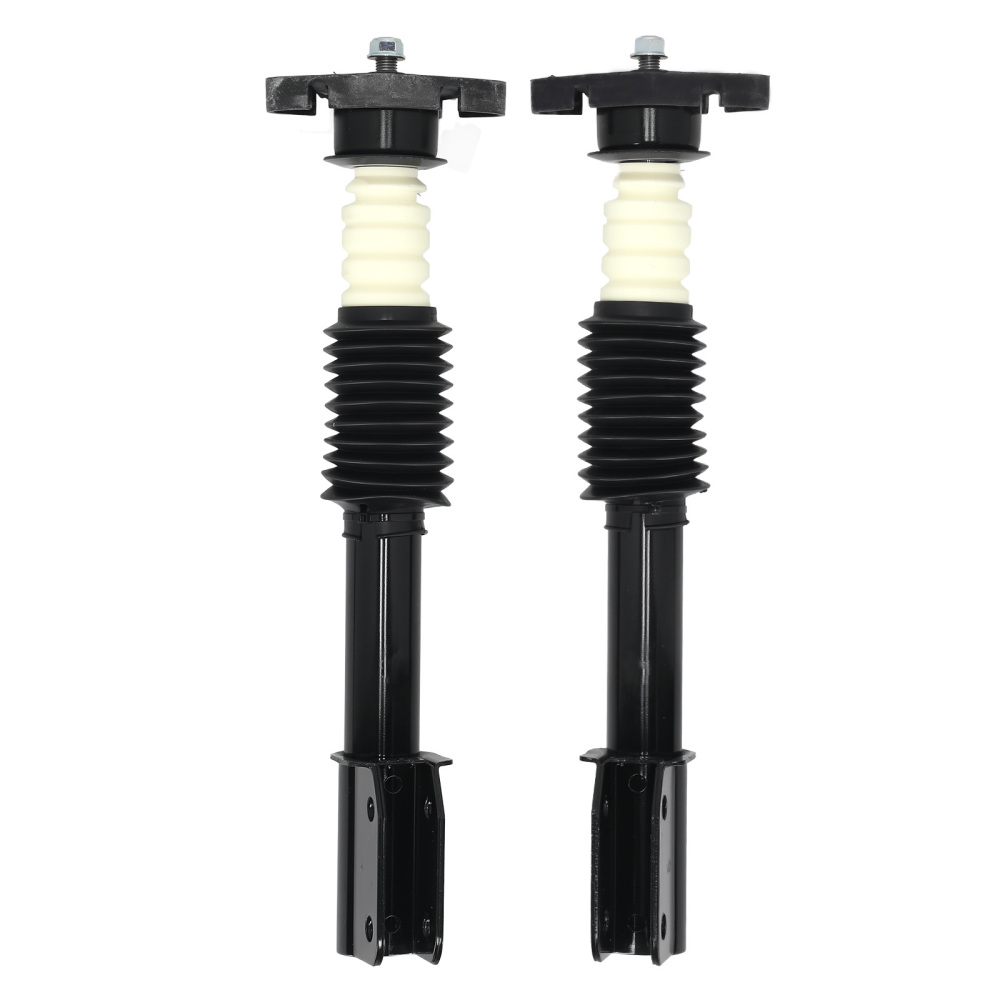 FrontRear Struts Shocks Assembly For 1988-1996 compatible for Buick Regal Pontiac Grand Prix