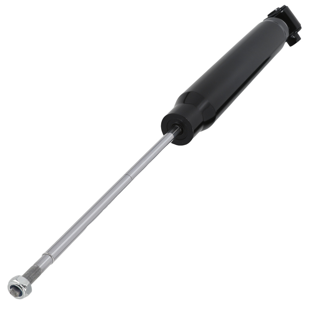 2x Ammortizzatore Posteriore compatibile per Audi A6 1997-2005 3B0513031K 3B0513031L