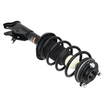 Front Struts w/ Coil Springs compatible for Honda Civic 2006-2011 EX/EX-L/GX/LX/XL-S 1.8L