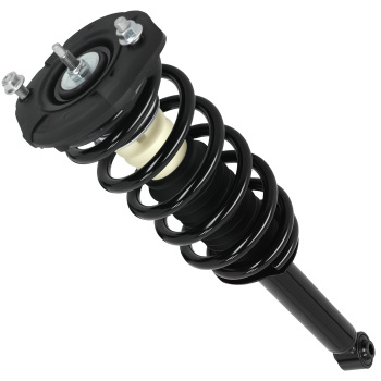 Pair Rear Complete StrutCoil Spring Assembly For 2000-2003 compatible for Nissan Maxima