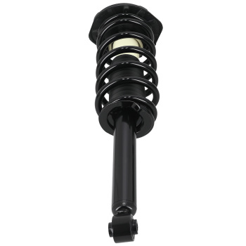 Pair Rear Complete StrutCoil Spring Assembly For 2000-2003 compatible for Nissan Maxima