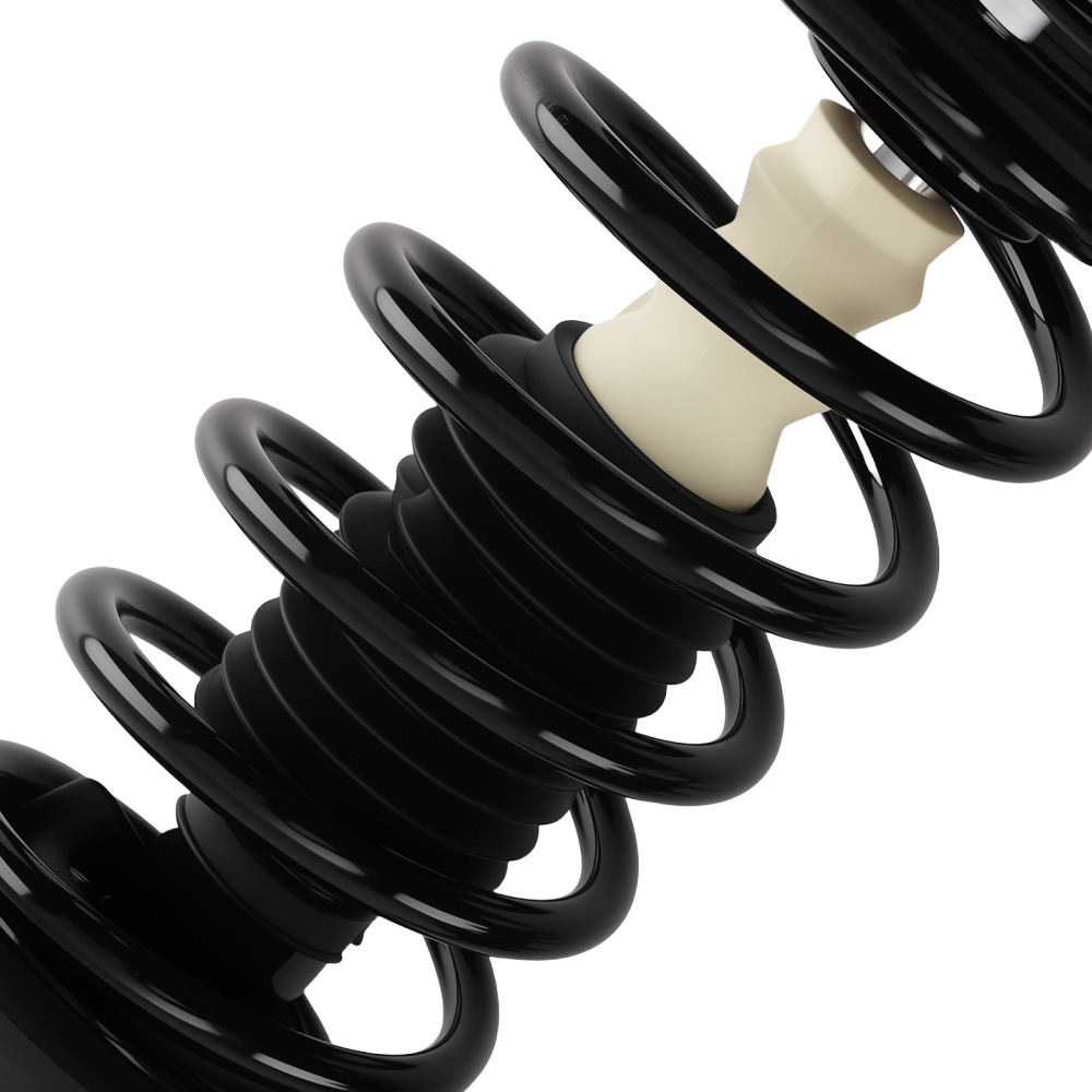Front Quick Complete Struts Springs Rear Shocks compatible for Pontiac Torrent 2007-2009