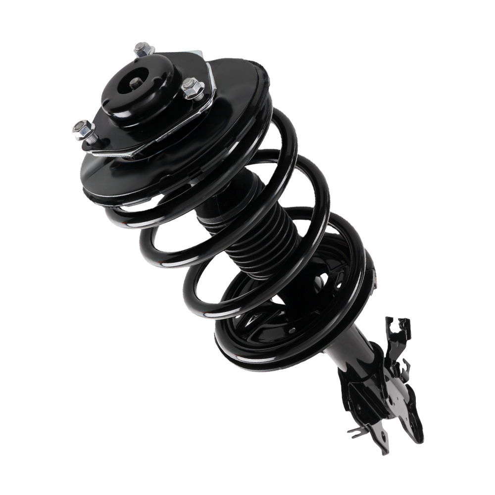 2 Front StrutsCoil Spring for 2003 2004 2005 2006 2007 compatible for Nissan Murano 3.5L
