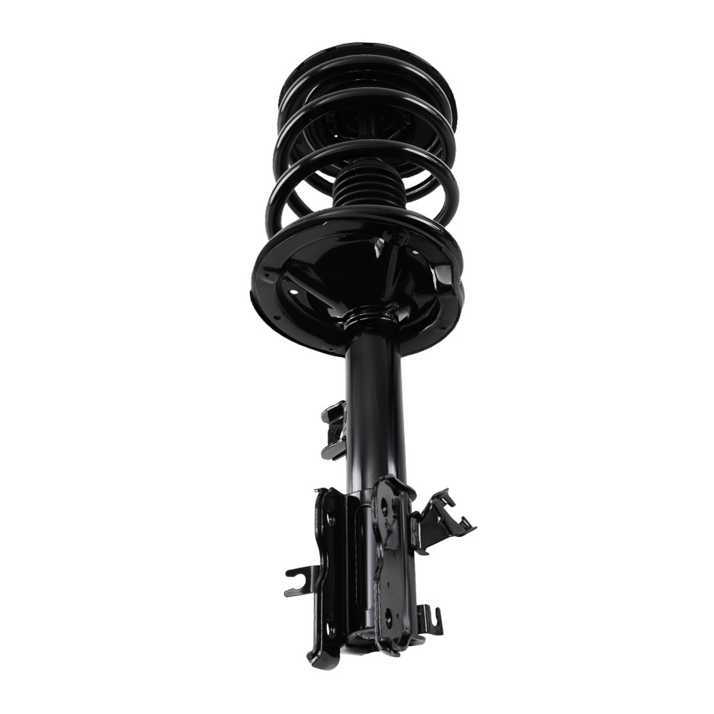 2 Front StrutsCoil Spring for 2003 2004 2005 2006 2007 compatible for Nissan Murano 3.5L
