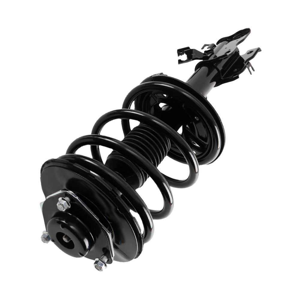 2 Front StrutsCoil Spring for 2003 2004 2005 2006 2007 compatible for Nissan Murano 3.5L