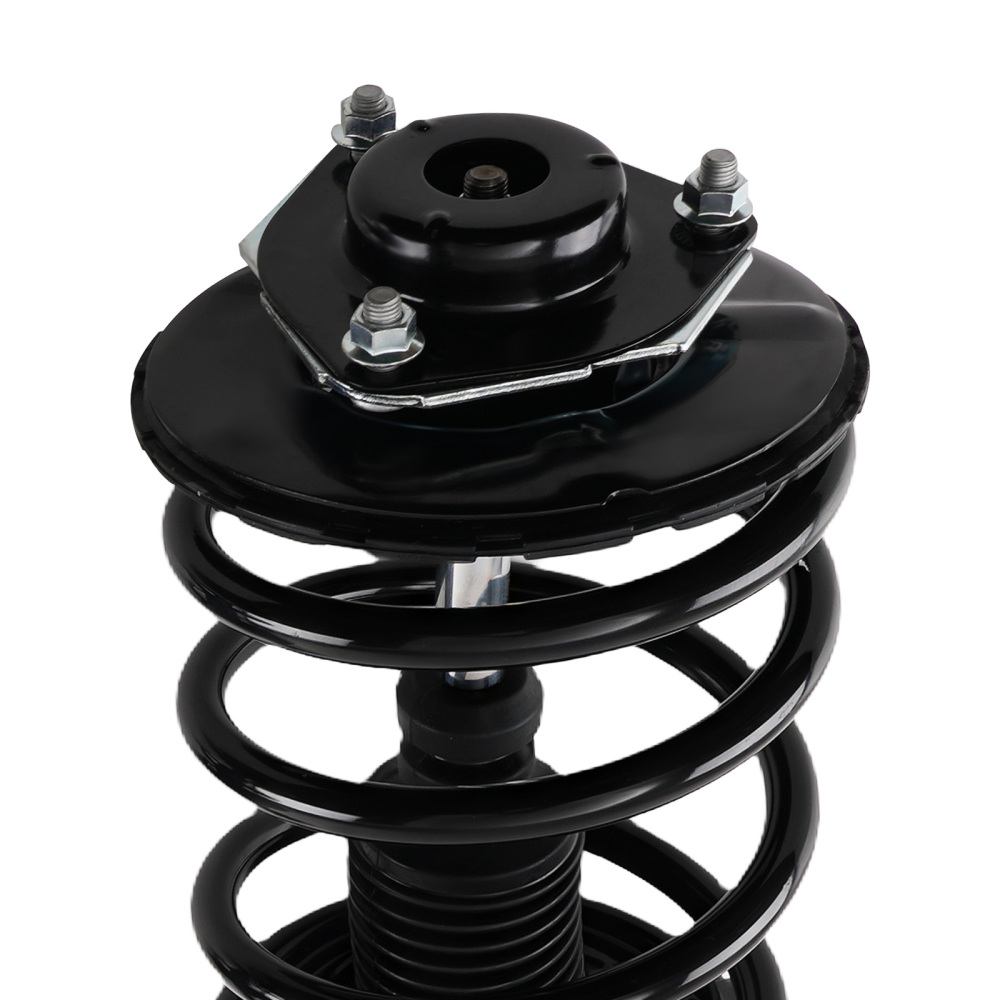2 Front StrutsCoil Spring for 2003 2004 2005 2006 2007 compatible for Nissan Murano 3.5L