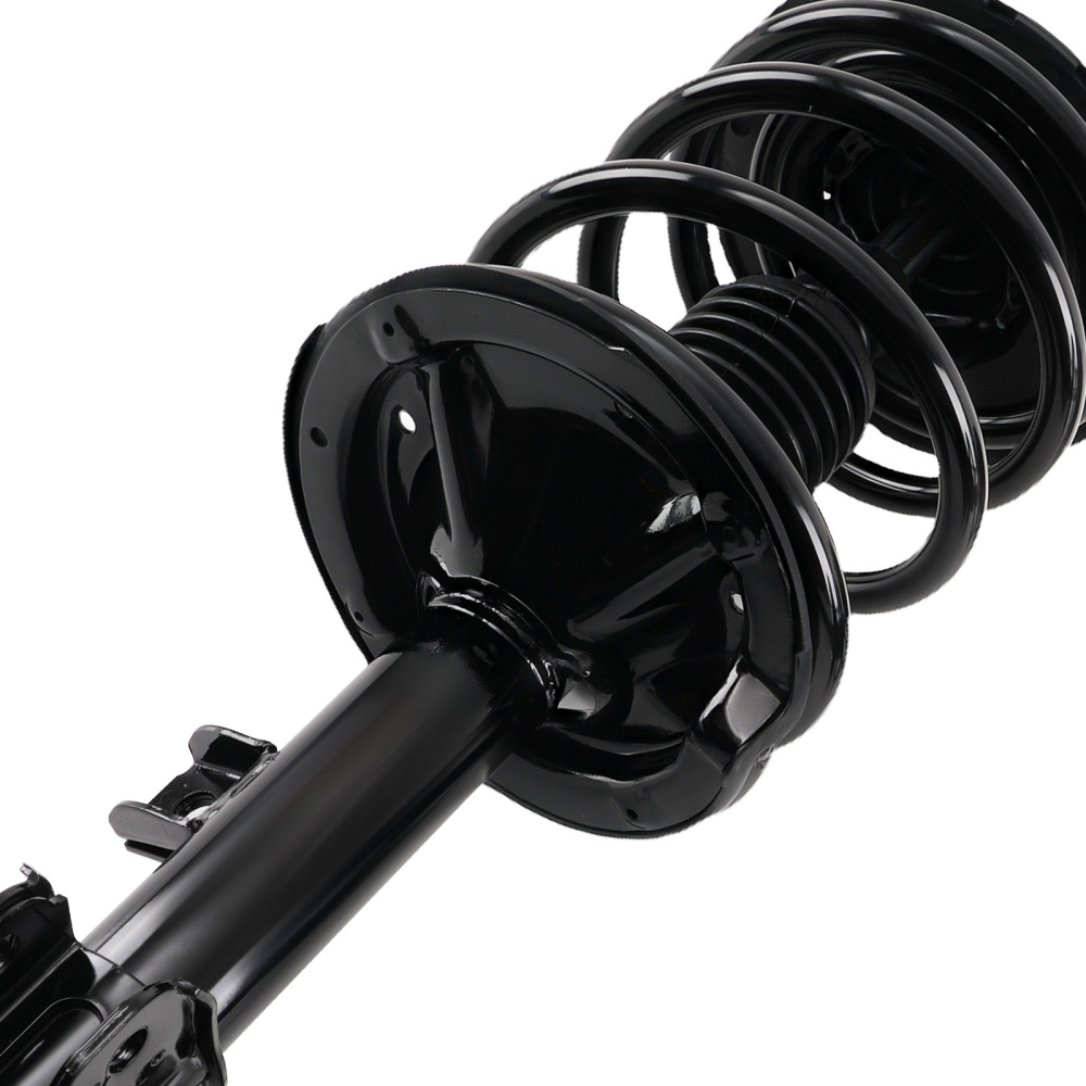 2 Front StrutsCoil Spring for 2003 2004 2005 2006 2007 compatible for Nissan Murano 3.5L