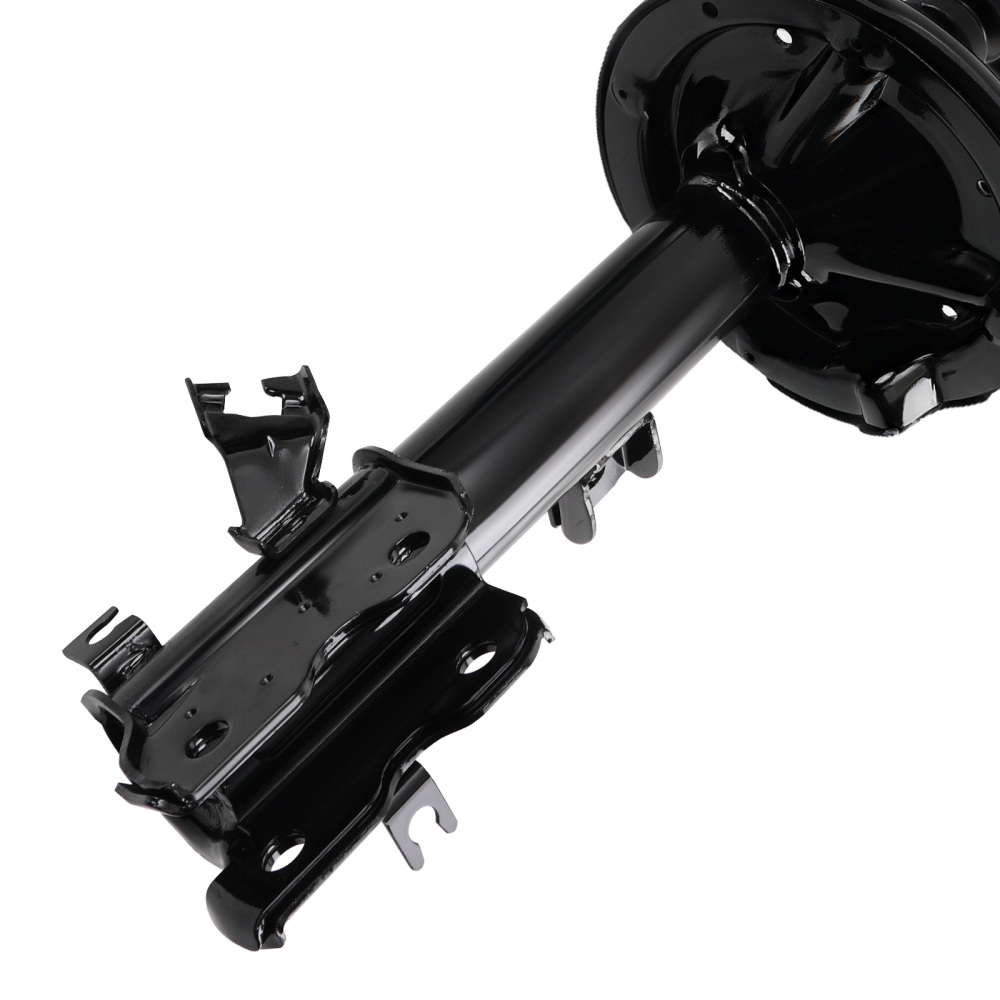2 Front StrutsCoil Spring for 2003 2004 2005 2006 2007 compatible for Nissan Murano 3.5L