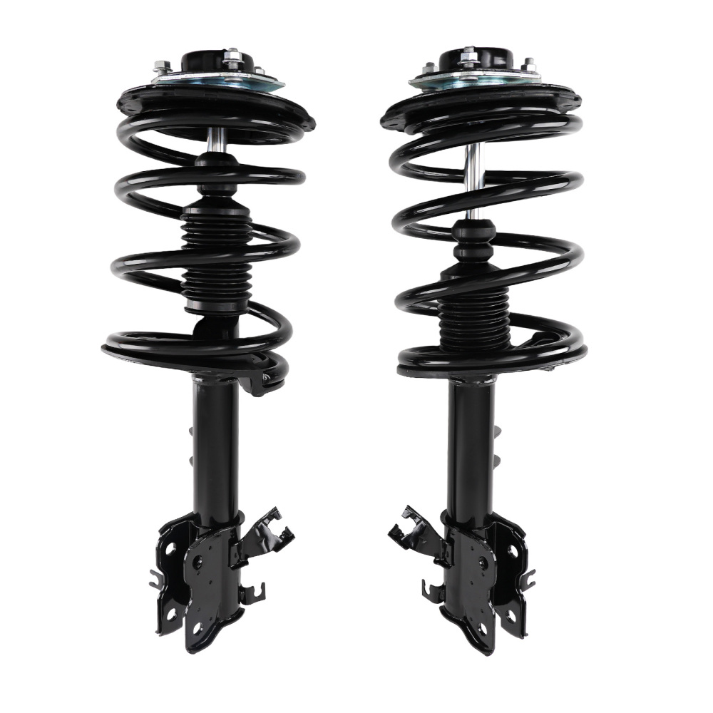 2 Front StrutsCoil Spring for 2003 2004 2005 2006 2007 compatible for Nissan Murano 3.5L