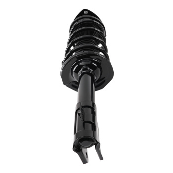 Front Complete Coil Springs StrutsRear Shocks For 2004-2006 compatible for Scion xA xB