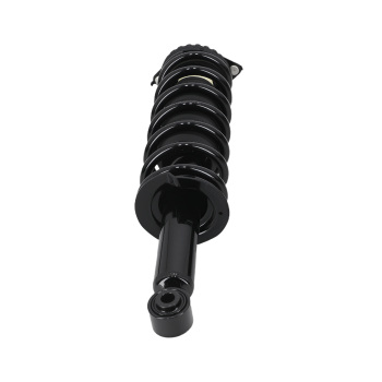 Complete Rear Pair Struts Shocks w/ Springs For 2005-2009 compatible for Subaru Outback 15920