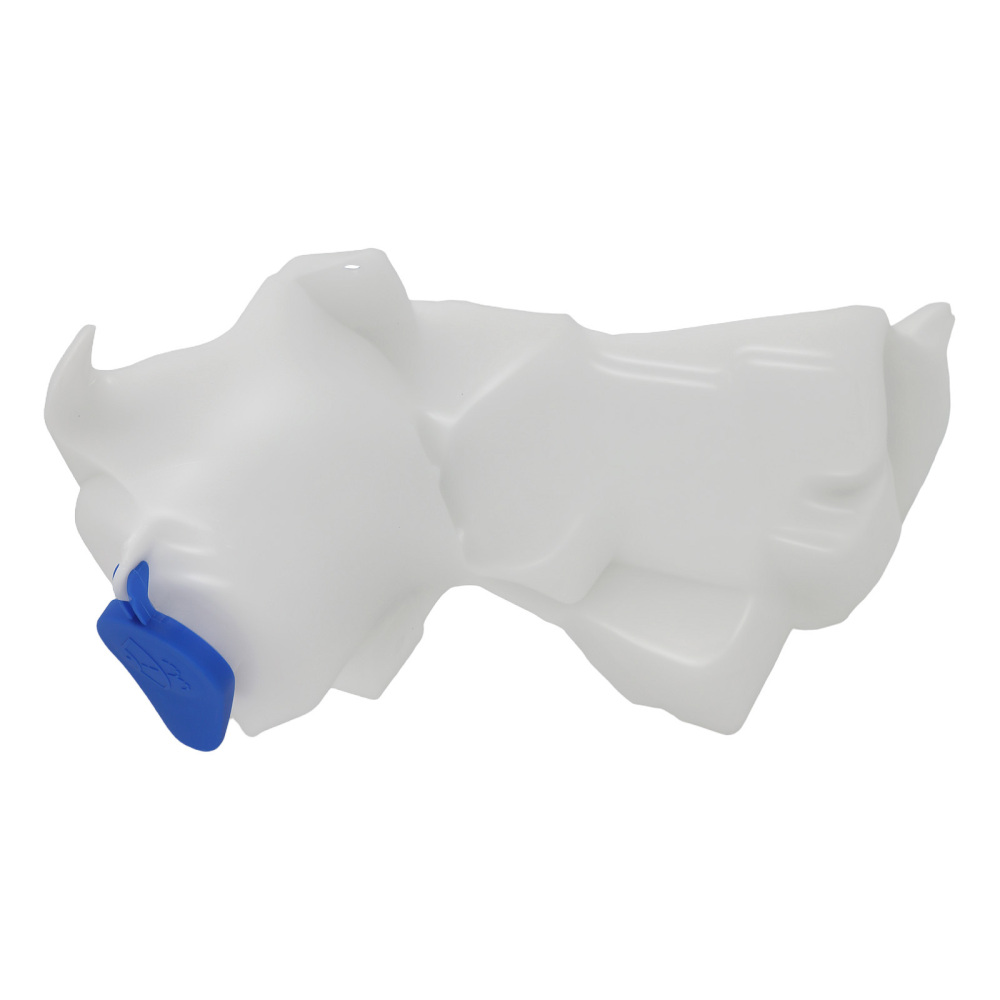 Washer Fluid Jug compatible for Ford F150 2015-2017 FL3Z17618 FL3Z17618B with Pump