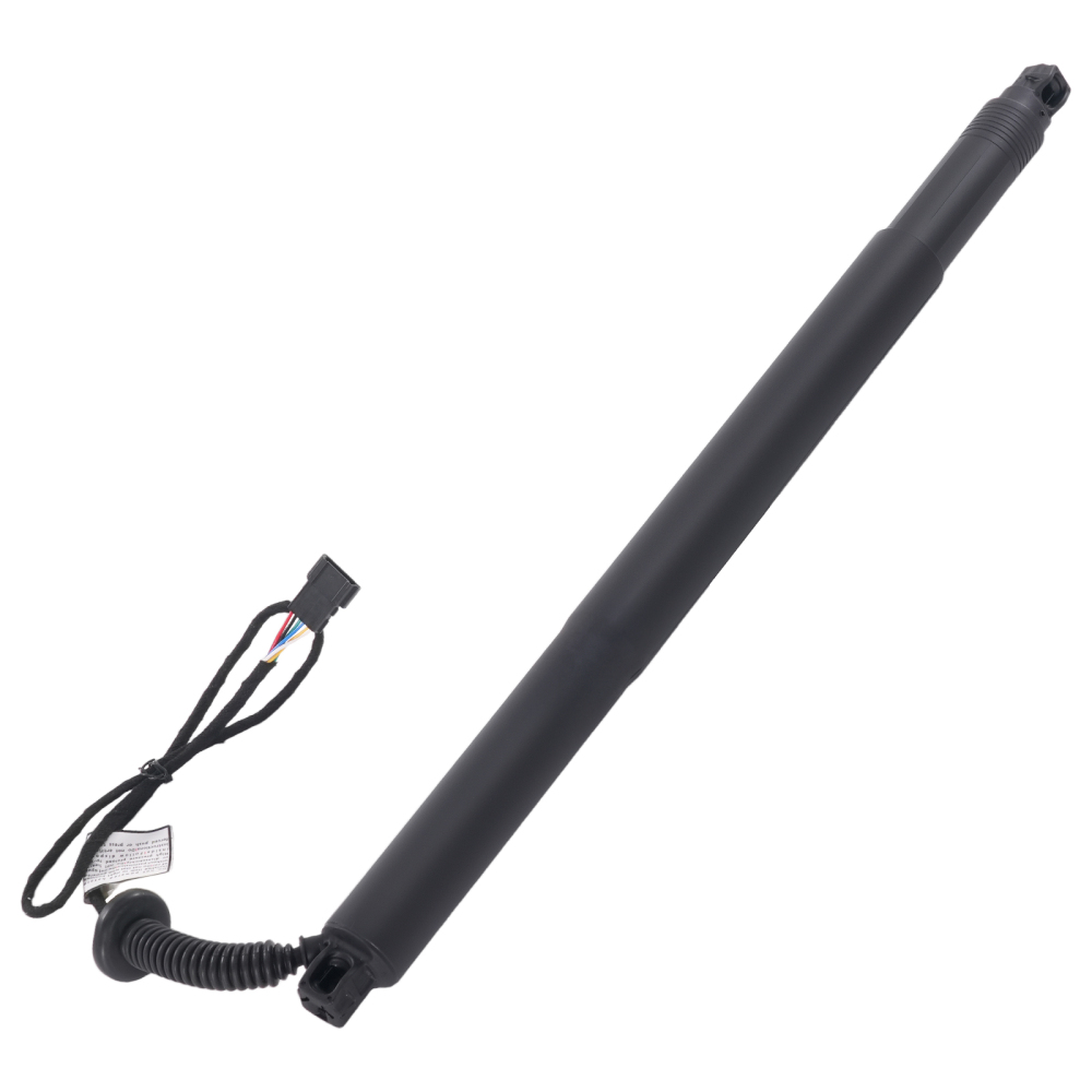 Amortisseur Arrière Hayon Gauche compatible pour BMW X6 F16 SUV 2015-2016 51247318651