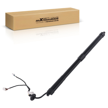Power Hatch Lift Support compatible for INFINITI FX50/QX70 905603FY0A 2010-2014 Rear